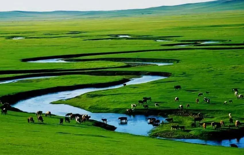 内蒙古施工总承包资质办理要求,内蒙古一级资质建筑公司名单