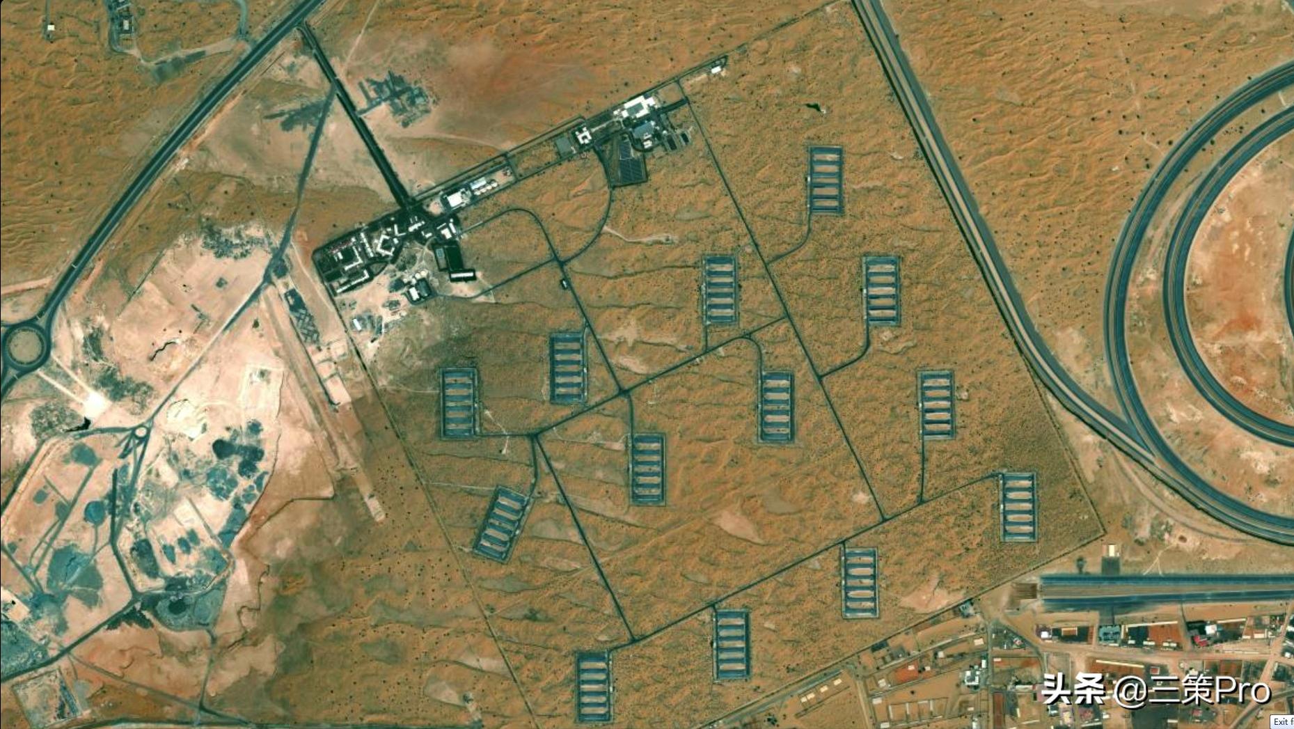 沙漠玫瑰在阿联酋卖灯具,阿联酋迪拜玫瑰