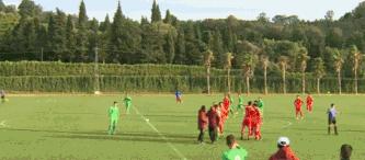 足球伪职业,中国足球伪职业化