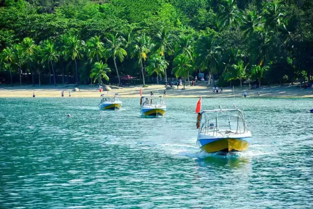 献礼新中国成立70周年,献礼新中国成立70周年活动启幕