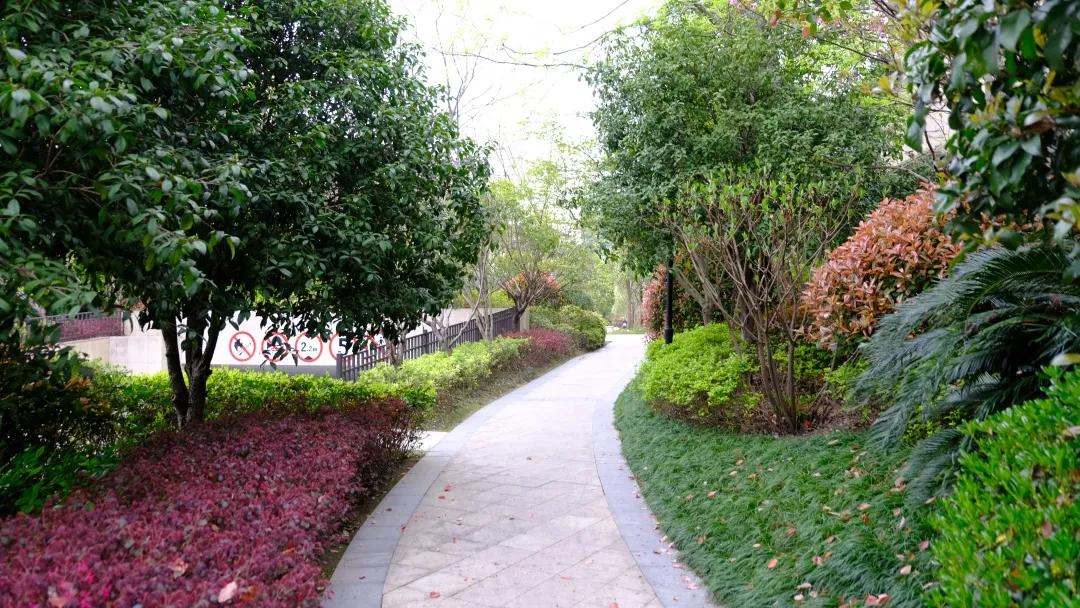 朝闻天下楼盘为什么这么便宜,潮闻天下房价