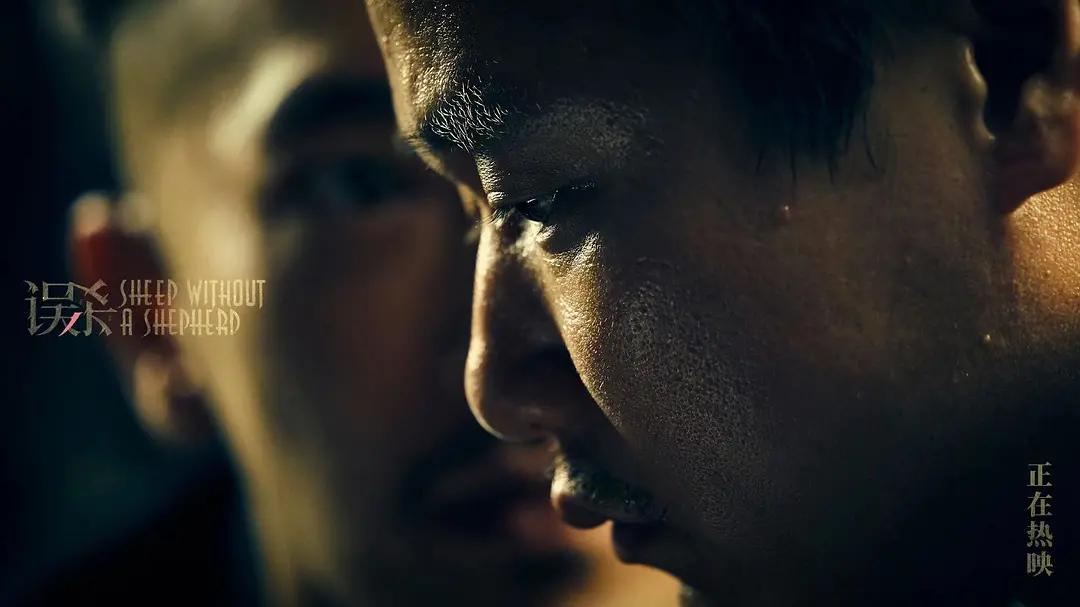 看完误杀这部电影的感想,看完误杀的感想