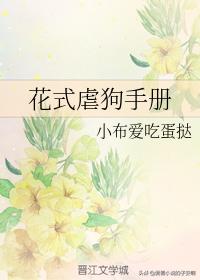 姐弟恋小说系列文,姐弟文虐恋小说精选