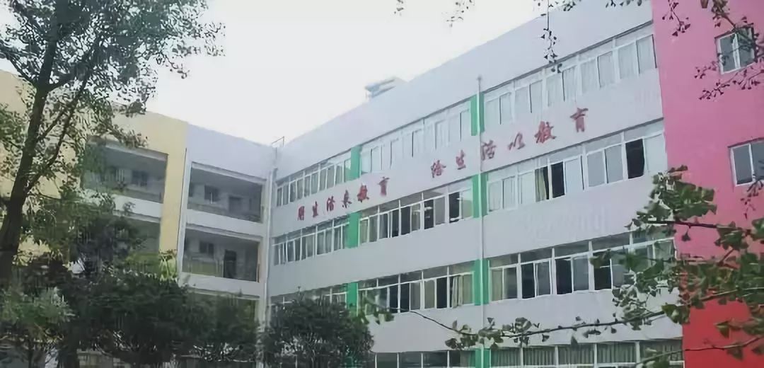 成师附小本部属于哪个片区,成师附小本部和分部