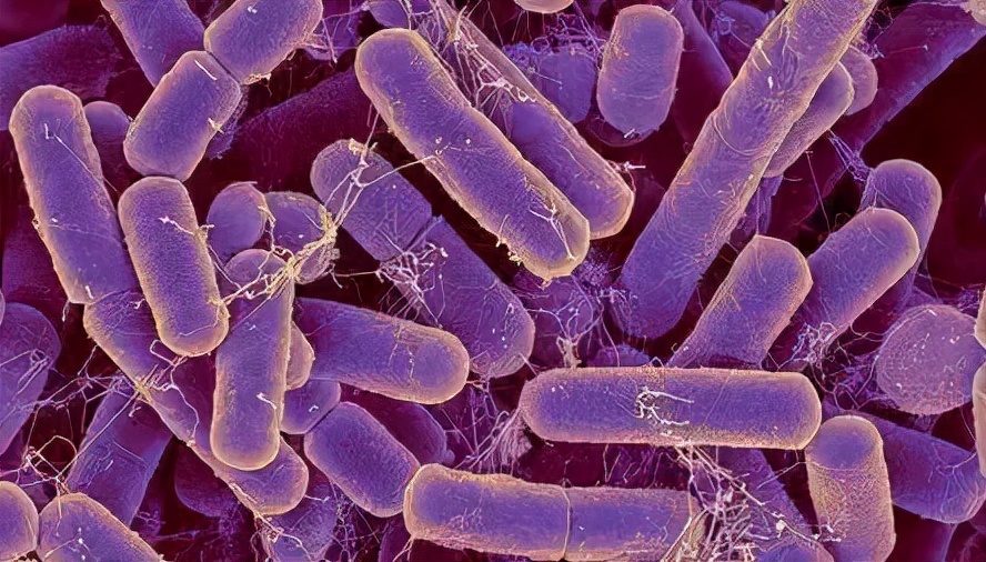 癫痫的治疗方法有迷走神经刺激术,癫痫细胞疗法