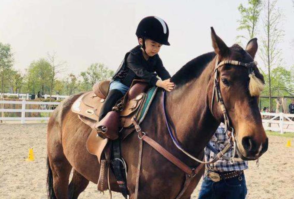 双减政策下兴趣班允许存在吗,双减过后兴趣班哪些是有必要学的