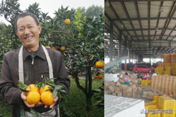 惠农网安全吗,惠农网购物安全吗