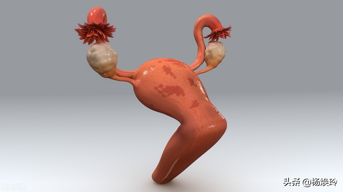 「科普」捍卫子宫，反对阉割，*制抵**新时代下切除子宫的酷刑