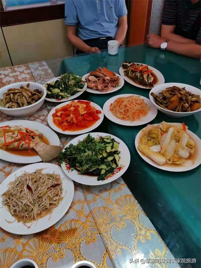 日照任家台渔海农家乐,任家台捕鱼和世帆基地哪个好