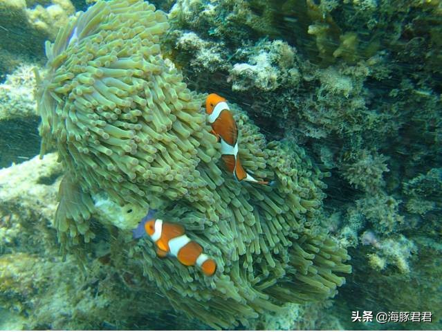 马来西亚免签3天2晚旅游,去马来西亚最新免签攻略