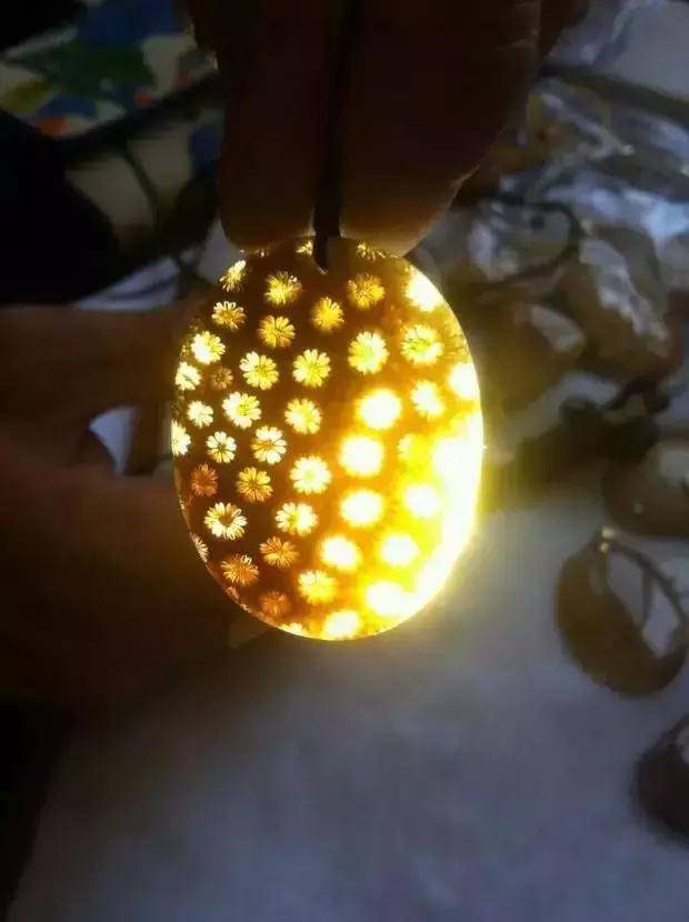 珊瑚玉怎么养是最好的,什么样的珊瑚玉是最好的