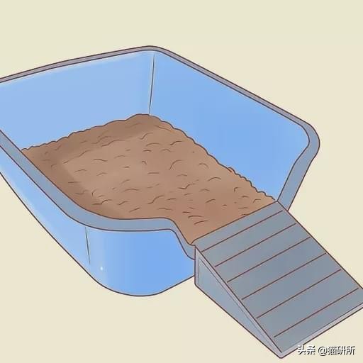 好好的猫咪突然瘸了是怎么回事,好好的猫突然掉了