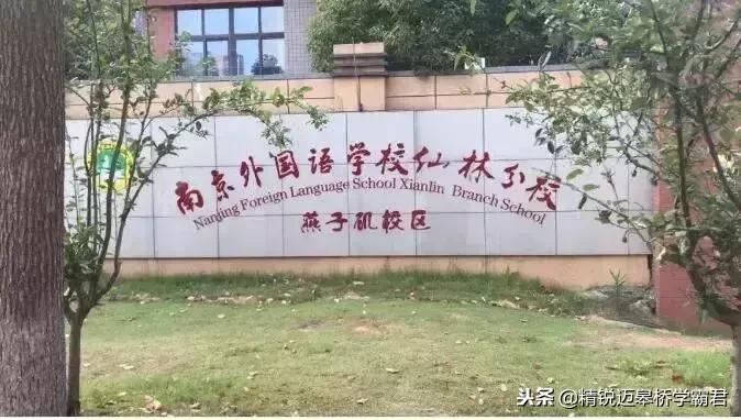 燕子矶新添高颜值网红学校,未来名校阵容堪比河西南!