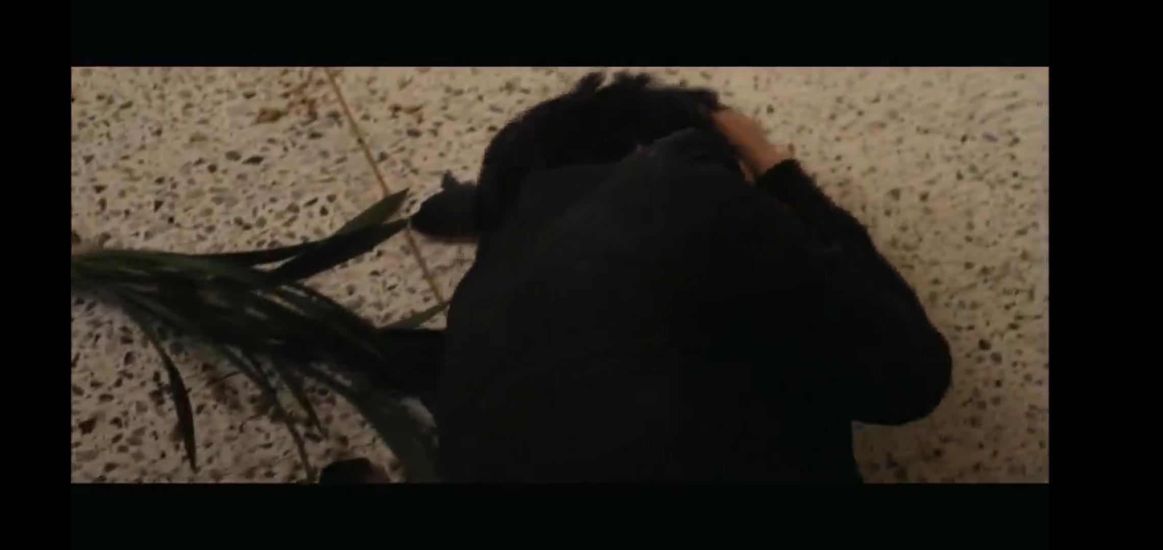 熔炉犯罪片段,熔炉校园霸凌