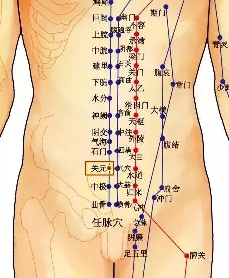 补气提升免疫力,补气提高免疫力最好的方法