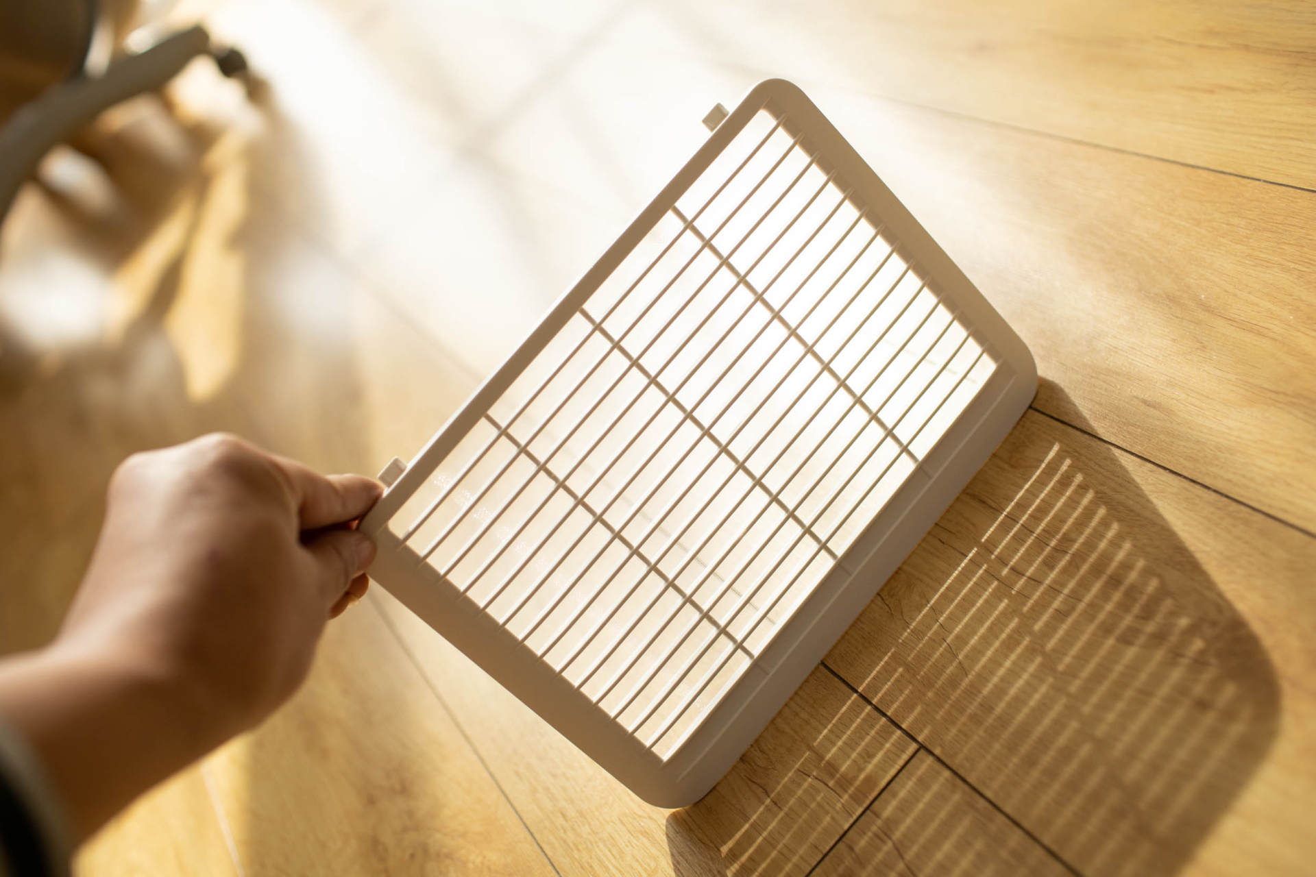 抵御南方湿冷的魔法攻击，小而强悍的伊岛*湿机除**