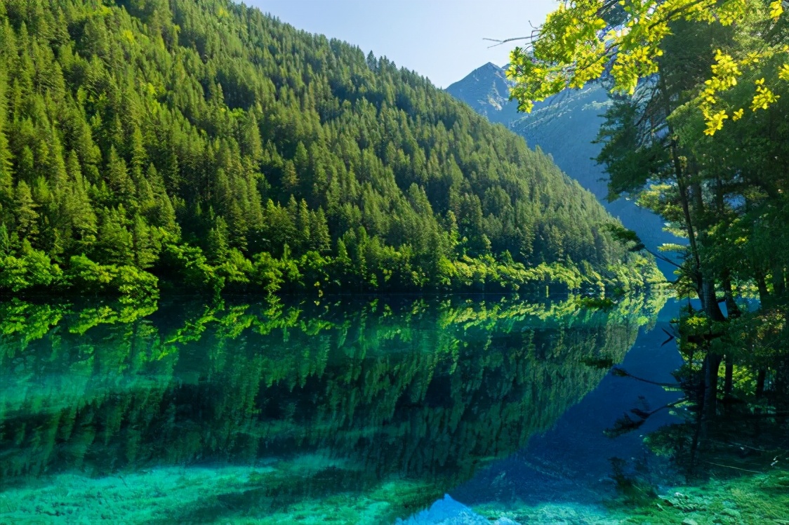 飞机延误取消免费飞机餐食,浅析航空公司取消免费飞机餐现象