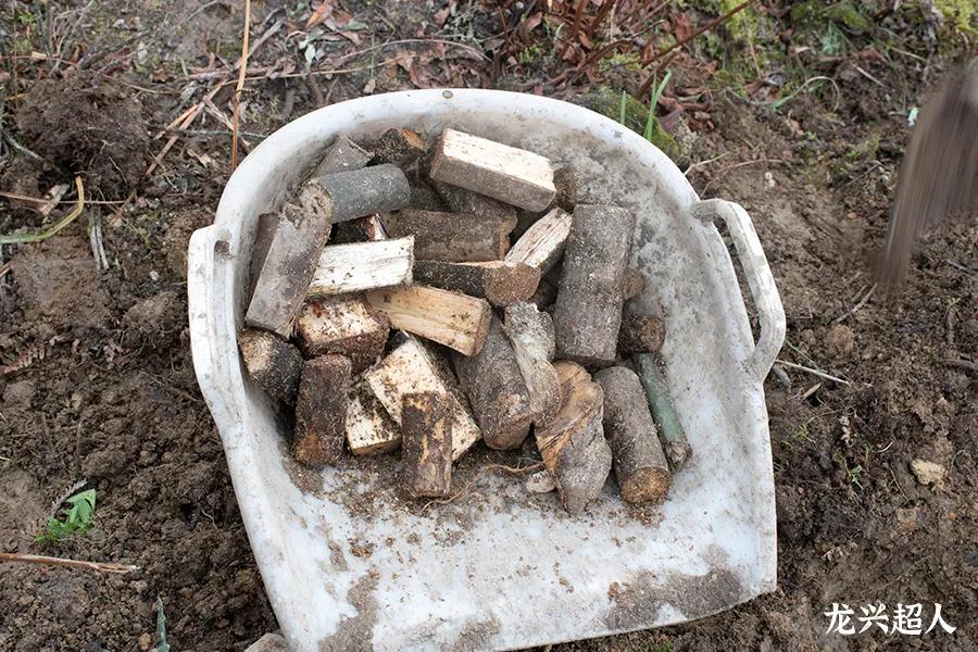 贵州道地药材天麻,道地药材天麻之乡