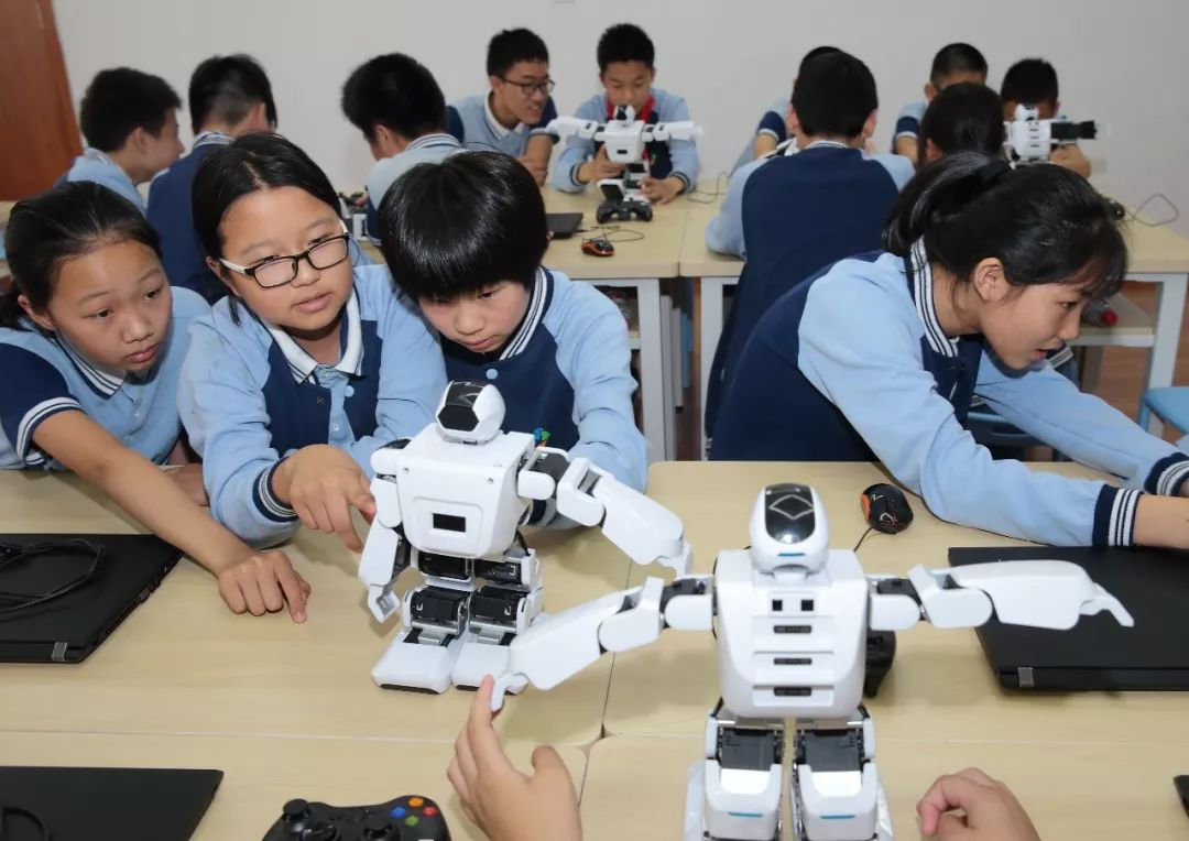 教育改革文科生的出路在哪里,文科教育问题