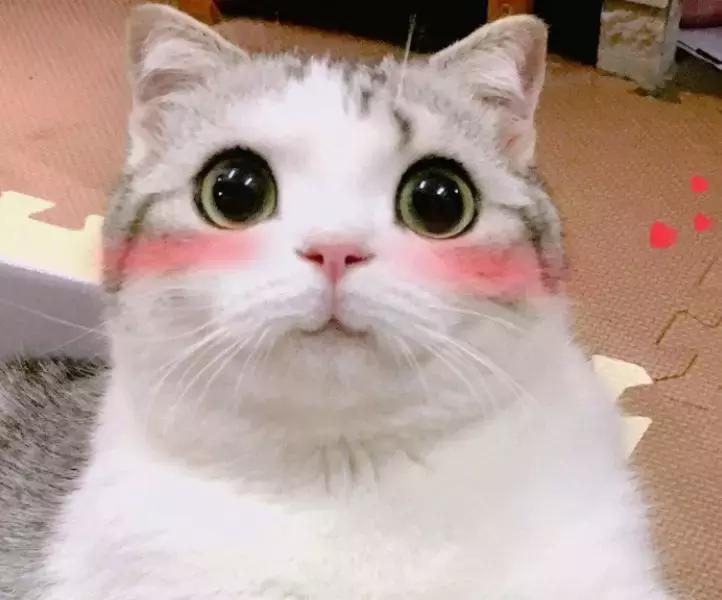 俄罗斯网红老奶奶面膜好用吗,网红绿茶固体面膜好用吗