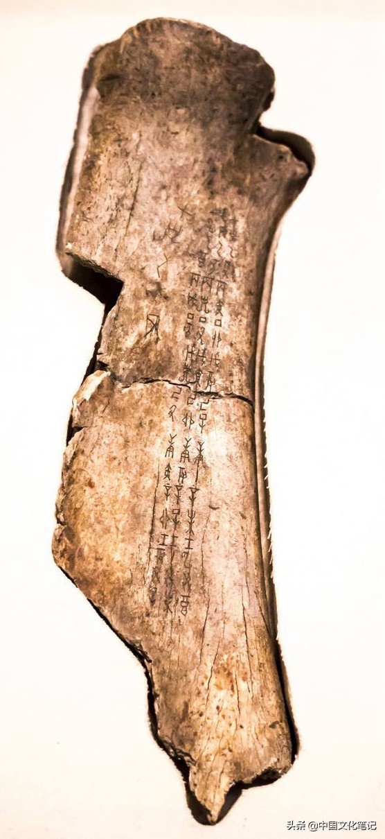 远古时期骨器,连骨头都不剩的排骨