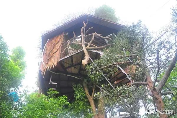 桂林出游农家乐,桂林附近避暑的农家乐