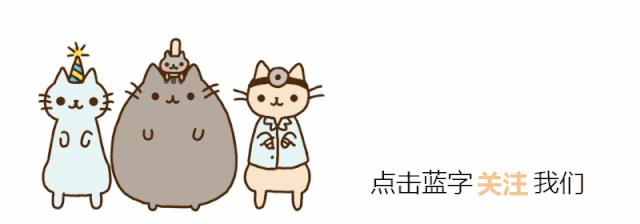 猫咪对数据线有什么执念吗,猫咪为什么那么喜欢咬数据线