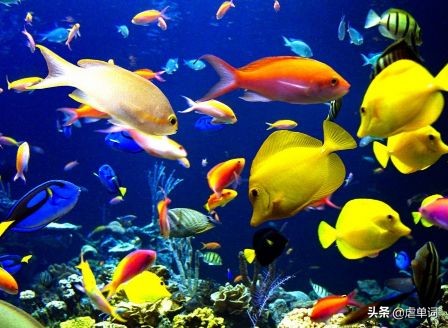 学习的同义词是什么,深入学习的同义词