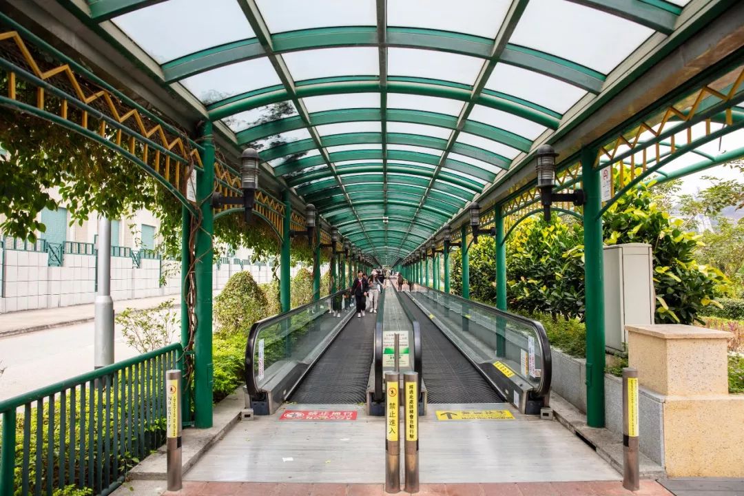 澳门赌场旅游攻略自由行,澳门免费游