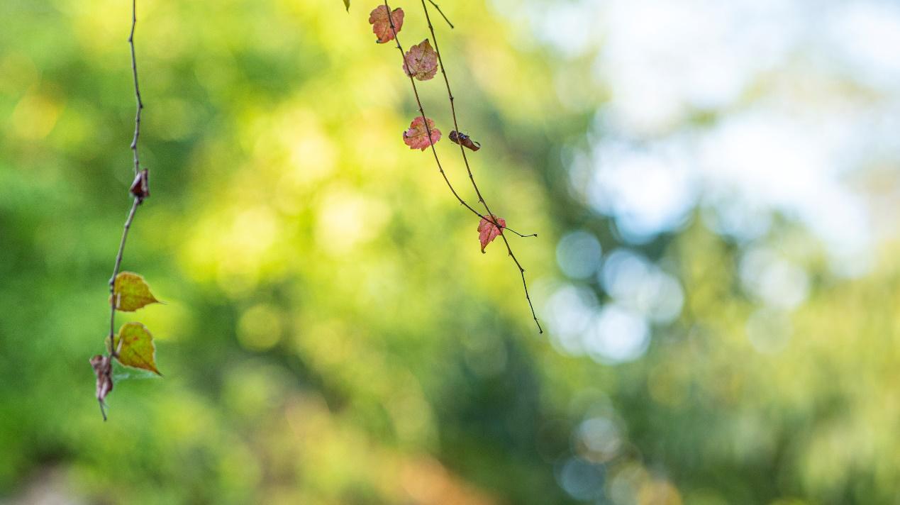 松下lumixs5人像,松下lumix7-14mmf4.0测评