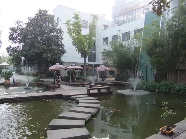 上海回不去的青春,上海市建平中学老照片