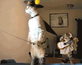 搞笑偷井盖的贼,偷井盖的搞笑图片