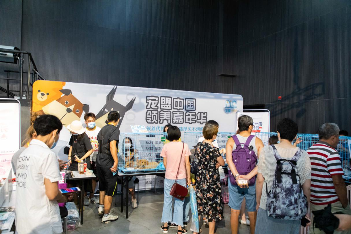 宠爱嘉年华平阳,宠爱嘉年华完整版