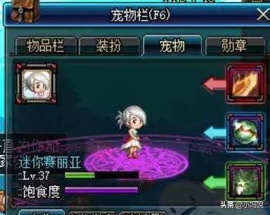 dnf宠物最可爱,dnf最给力宠物