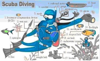 34张图教孩子记住英语中所有生活用词！（收藏版）