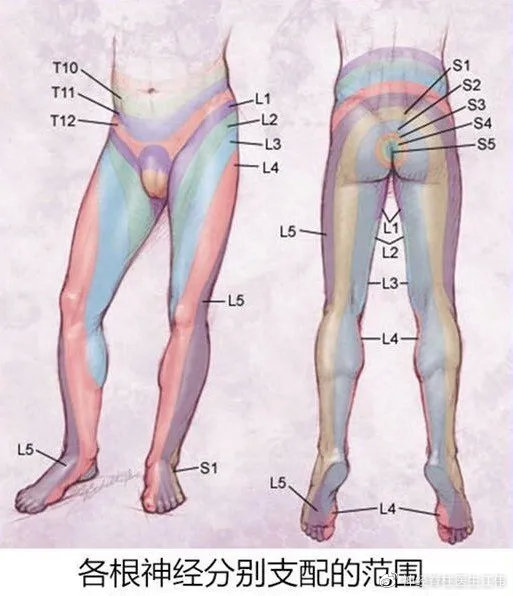 骶管蛛网膜囊肿怎么治疗,有症状的骶管囊肿检查得出来吗