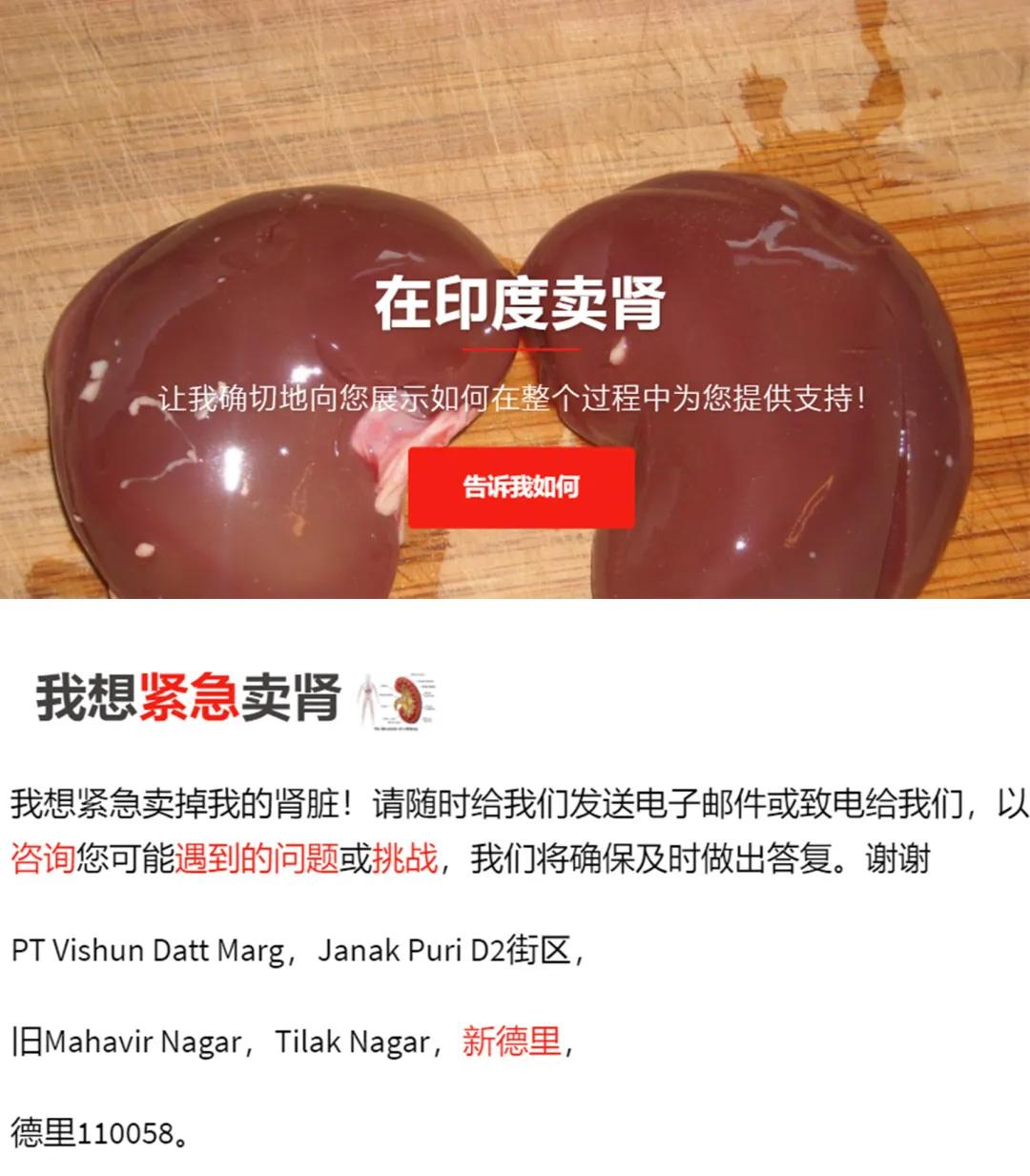 卖肾工厂，在这里|地球知识局