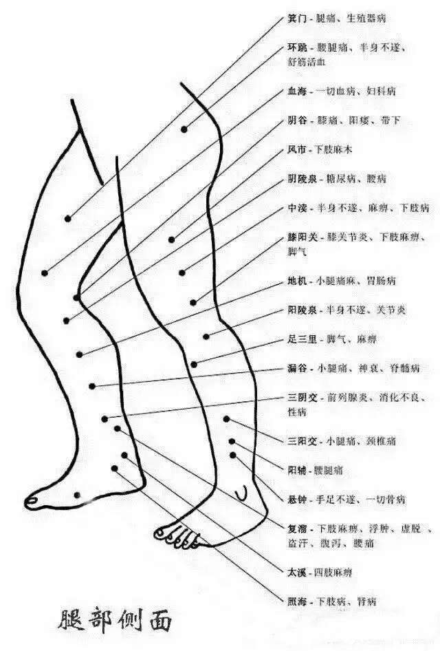 为什么针灸瘦身马上有效果,针灸通经络为什么体重一直下降