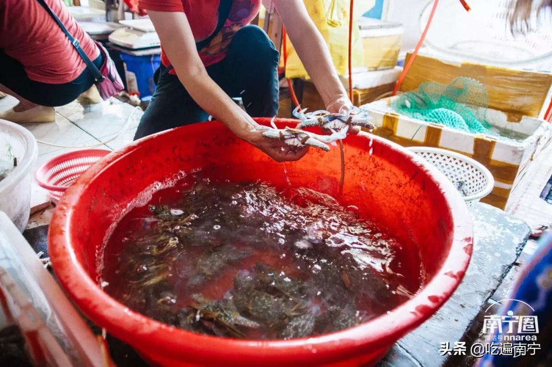 防城港旅游海鲜推荐,最好的海边旅游攻略
