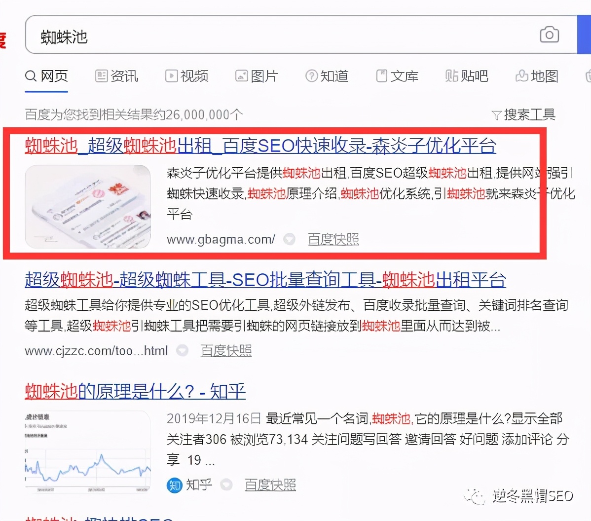 逆冬:我是如何把蜘蛛池这个词做到首页的「真实记录」
