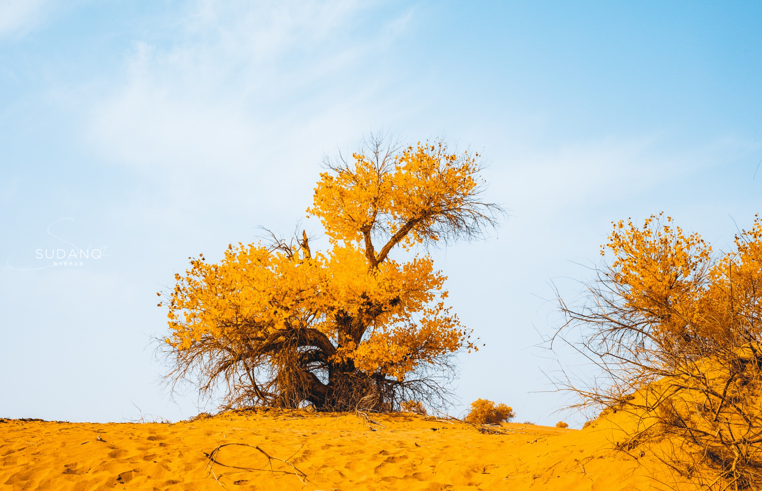 楼兰的消失之谜全集,楼兰古国的消失之谜