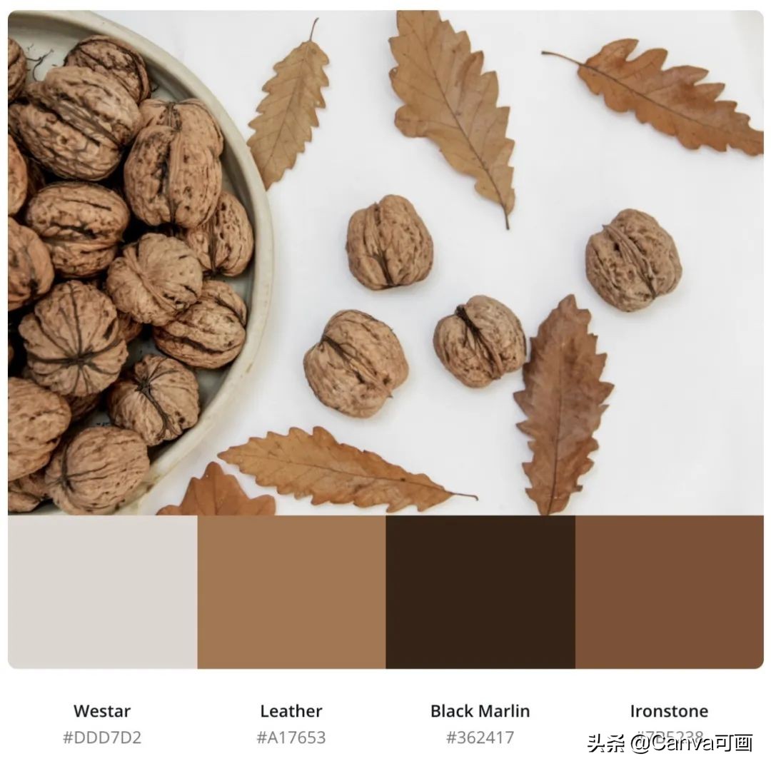 秋天配色插画秋高气爽,秋季高清插画