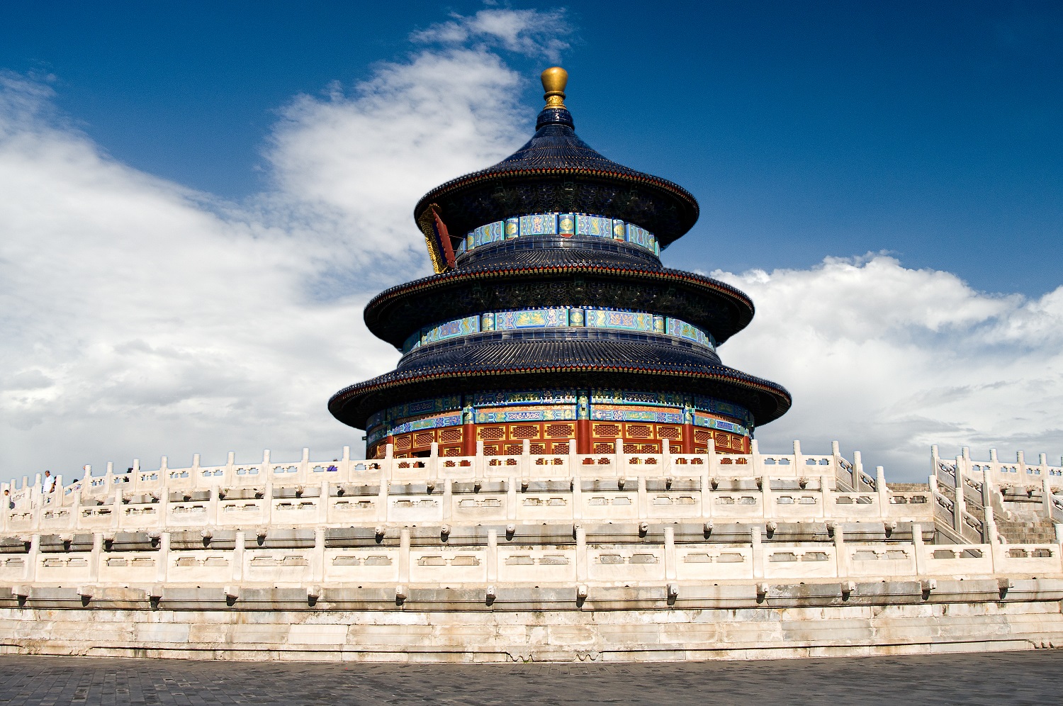 吹面不寒杨柳风中的寒指的是什么,吹面不寒杨柳风的杨柳风是什么