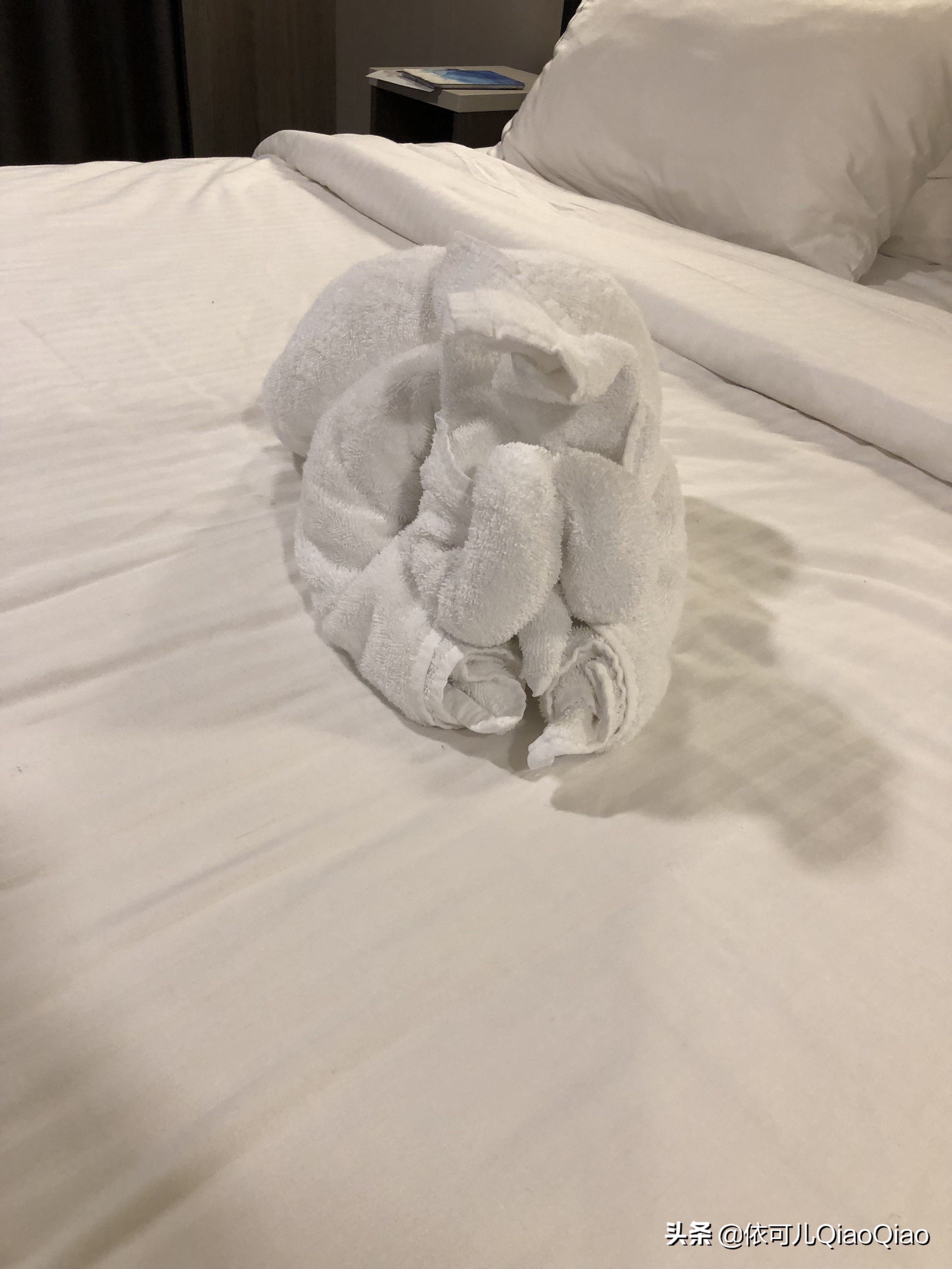 纪念我的第一次旅游,纪念我的第一次旅行