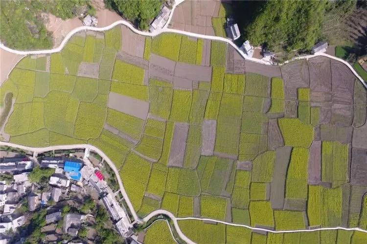 西安香格里拉游玩攻略,西安自驾云南香格里拉