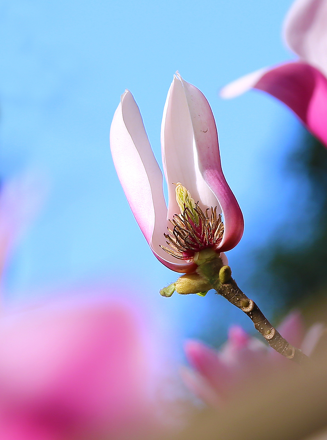 摄影后期色彩搭配原理与技巧,顶级摄影作品中的色彩运用
