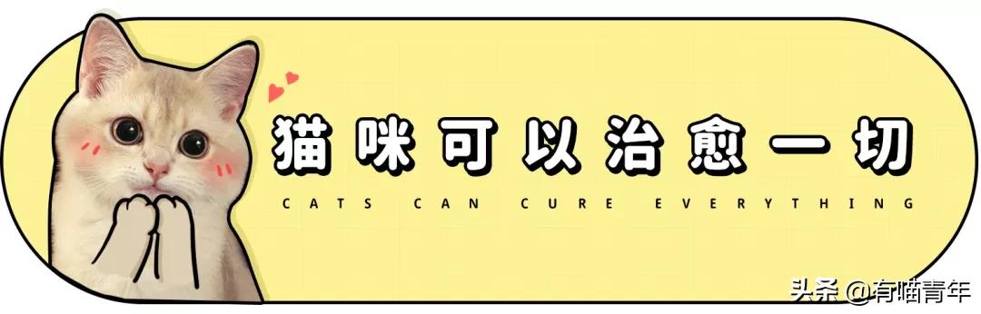 24岁男子喜当爹去派出所,90后男子相亲被误当爹