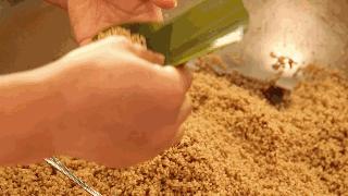 包粽子教程一步一步来,包粽子的详细教程来啦