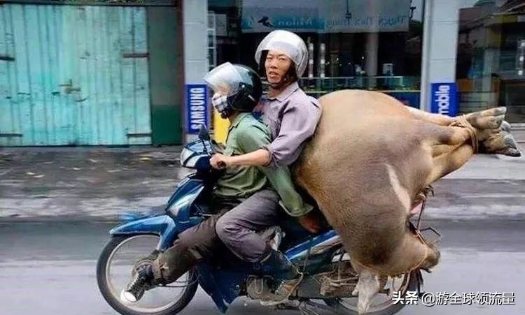 去越南旅游如何防骗局呢,去越南投资怎么防诈骗