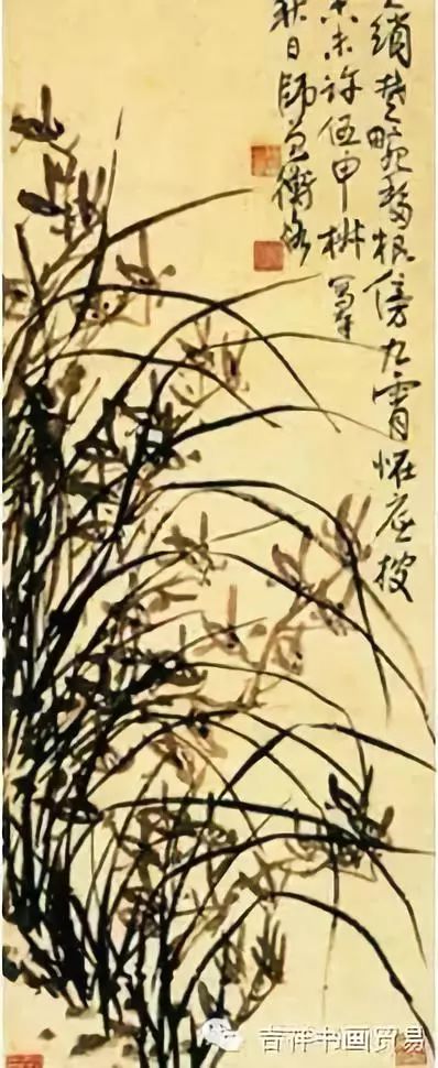 看看大家都是怎么画眉毛的,二月兰怎么画简单好看